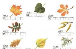 Importanța căderii frunzelor în viața plantelor