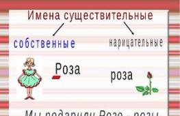 Vlastita imena i zajedničke imenice Pravila vlastitih imenica ruskog jezika